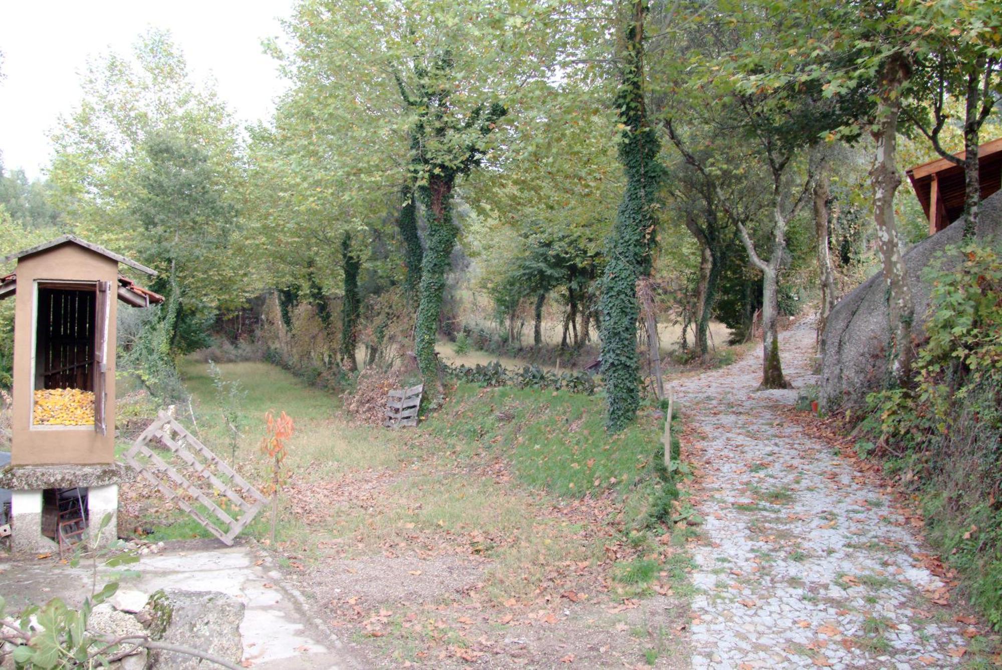 Quinta Da Veiga E Malhadoira Guest House Vieira do Minho Eksteriør bilde