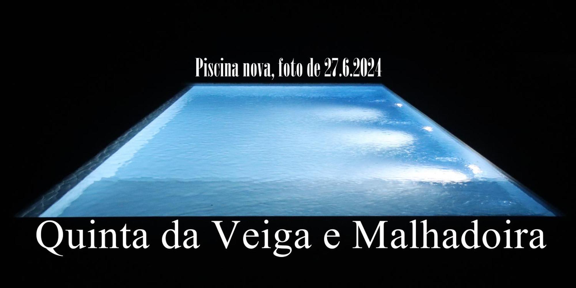 Quinta Da Veiga E Malhadoira Guest House Vieira do Minho Eksteriør bilde