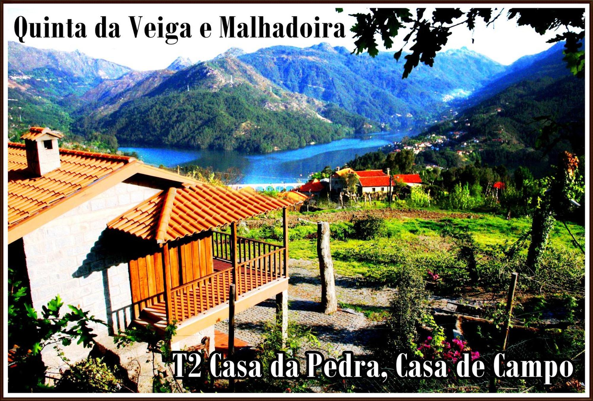 Quinta Da Veiga E Malhadoira Guest House Vieira do Minho Eksteriør bilde